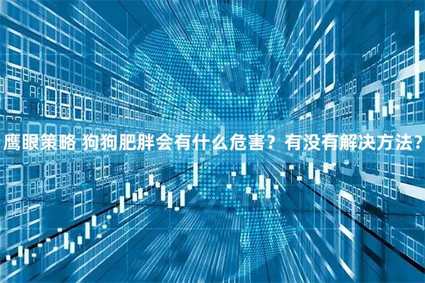 鹰眼策略 狗狗肥胖会有什么危害？有没有解决方法？