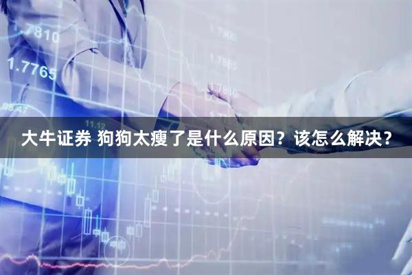 大牛证券 狗狗太瘦了是什么原因？该怎么解决？