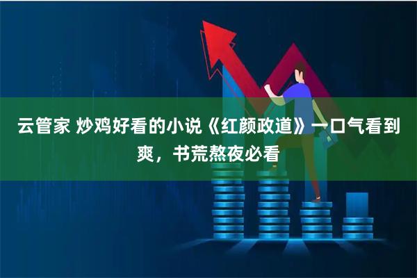 云管家 炒鸡好看的小说《红颜政道》一口气看到爽，书荒熬夜必看